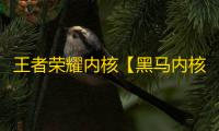 王者荣耀内核【黑马内核】辅助
