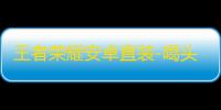 王者荣耀安卓直装-噶头辅助