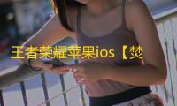 王者荣耀苹果ios【焚天】辅助